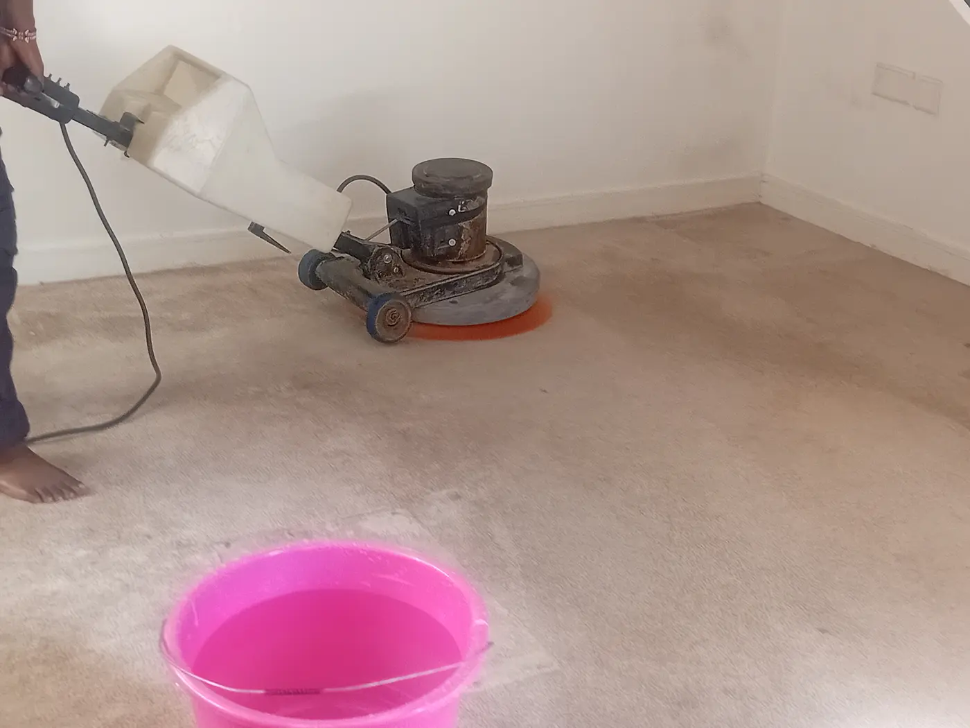 Professional wall-to-wall office carpet machine cleaning