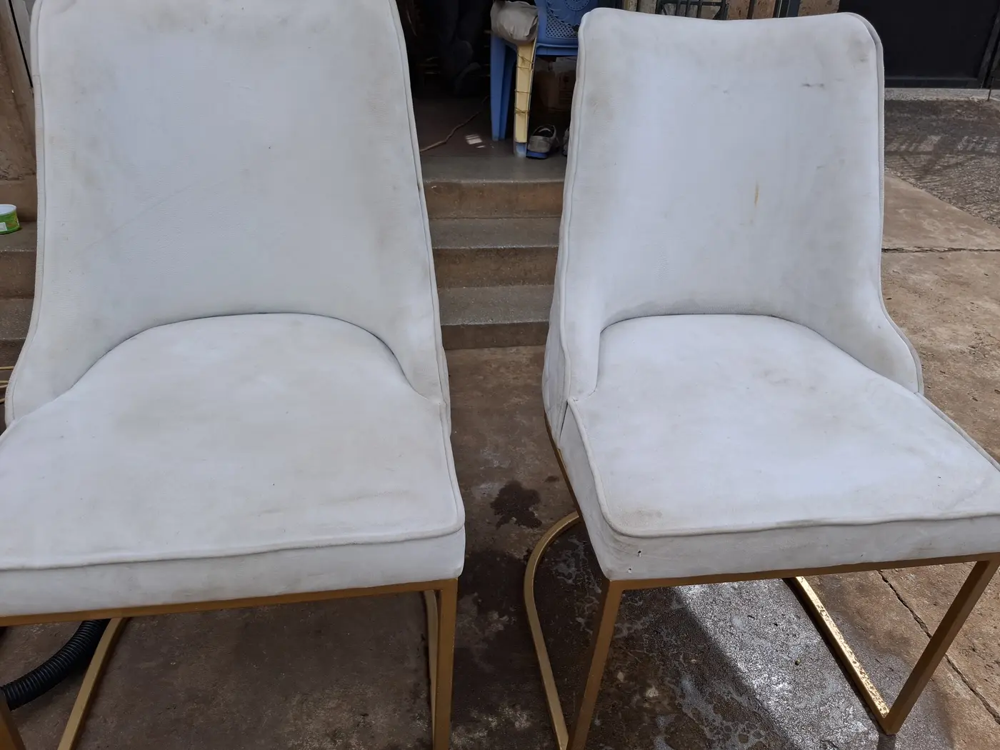 Dining seats before professional upholstery cleaning