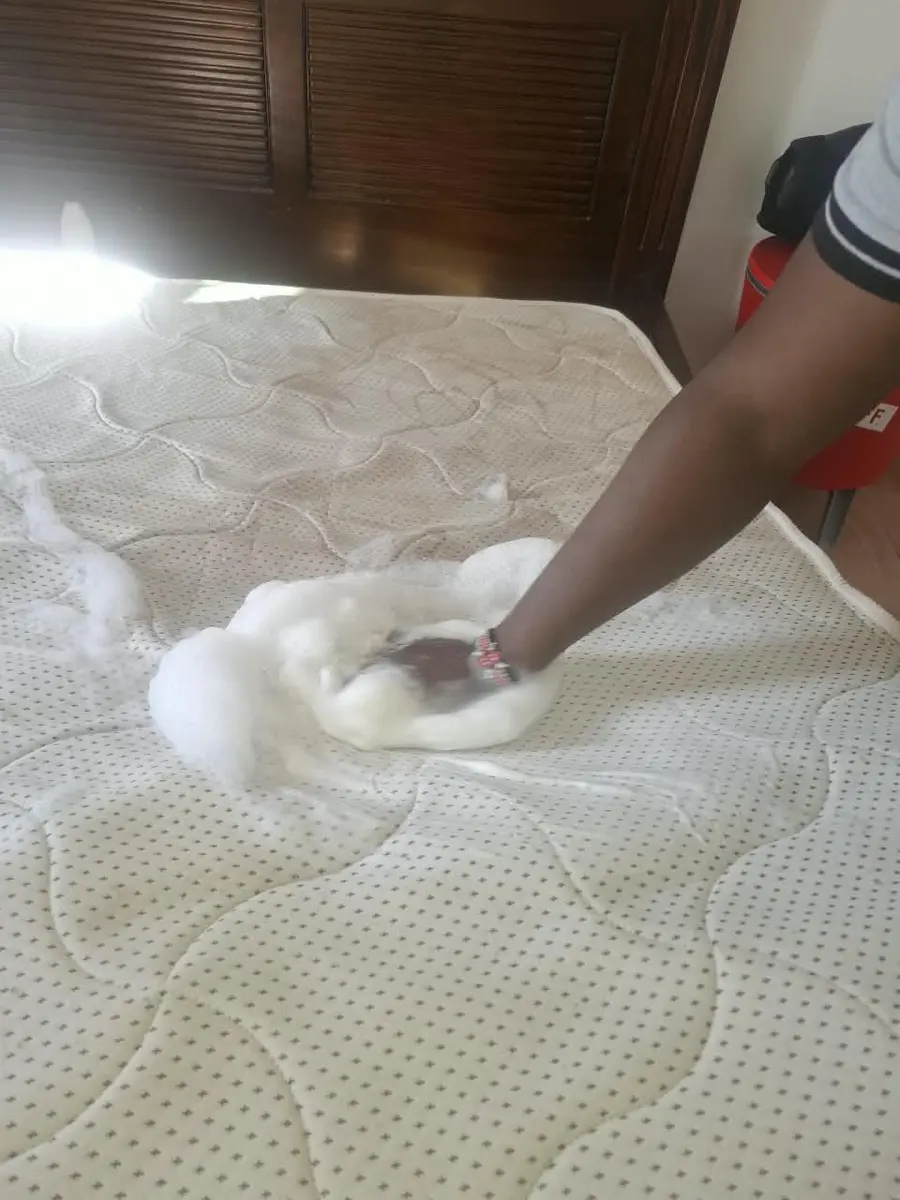 PrimeMax treating stains on a mattress